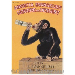 Postcard Anisetta Evangelisti