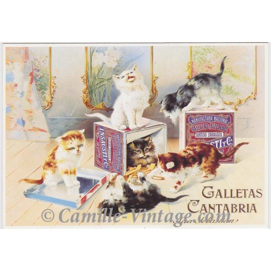 Postcard Galletas Cantabria San Sebastian