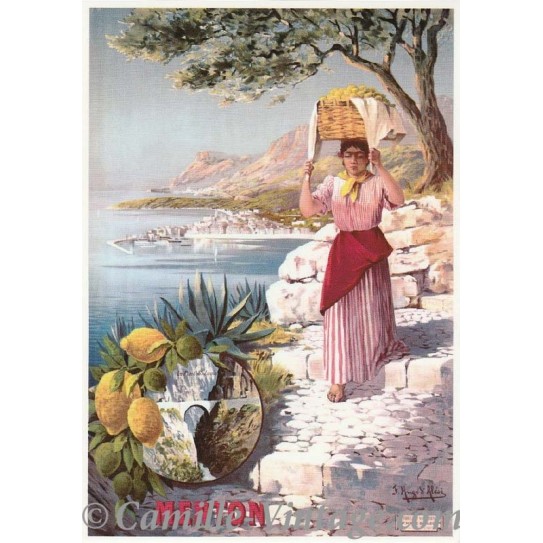 Carte Postale Menton et ses Citrons
